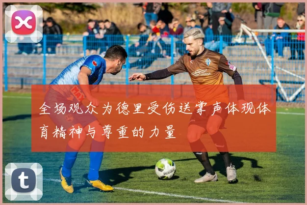 全场观众为德里受伤送掌声体现体育精神与尊重的力量
